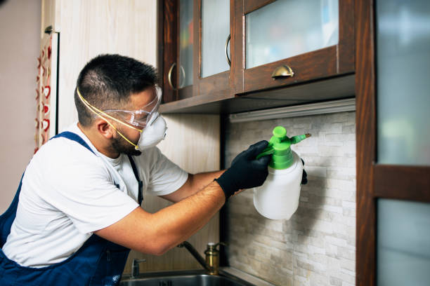  Fritch, TX Pest Control Pros