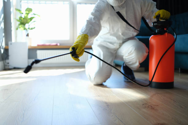 Best Mosquito Control Services  in Fritch, TX