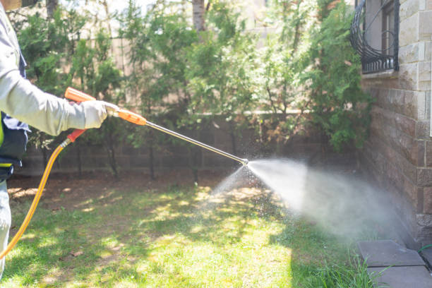 Best Pest Prevention Services  in Fritch, TX