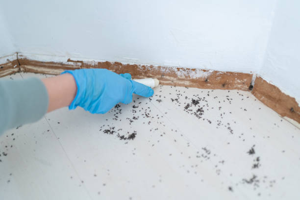 Best Wildlife Control Services  in Fritch, TX